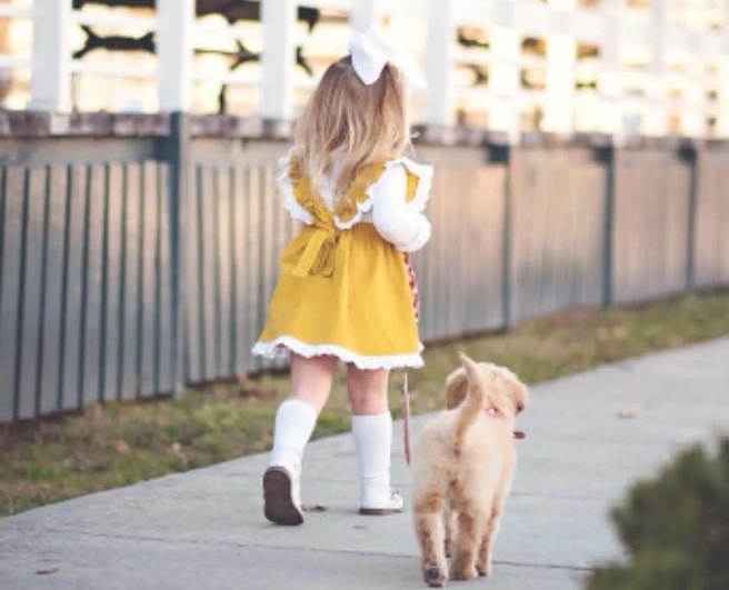 Cute little girl wearing a yellow and white dress walking on a sidewalk with her wavy coat puppy.