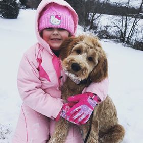 Little girl wearing pink snow gear playing outside with her puppy in the snow.
