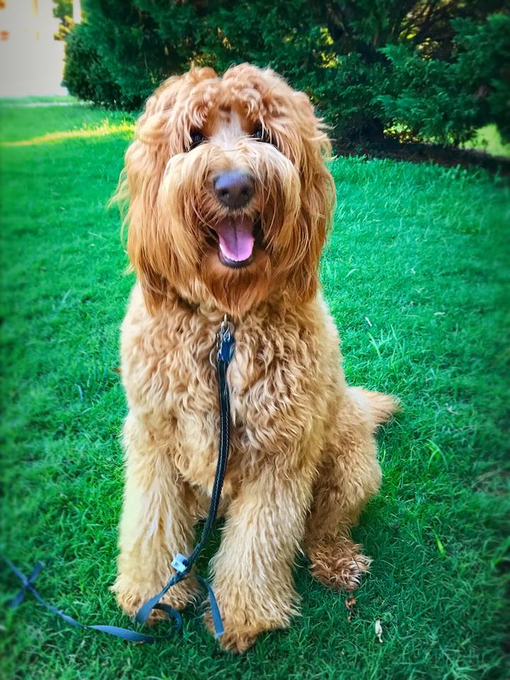 Charlie 1.jpg