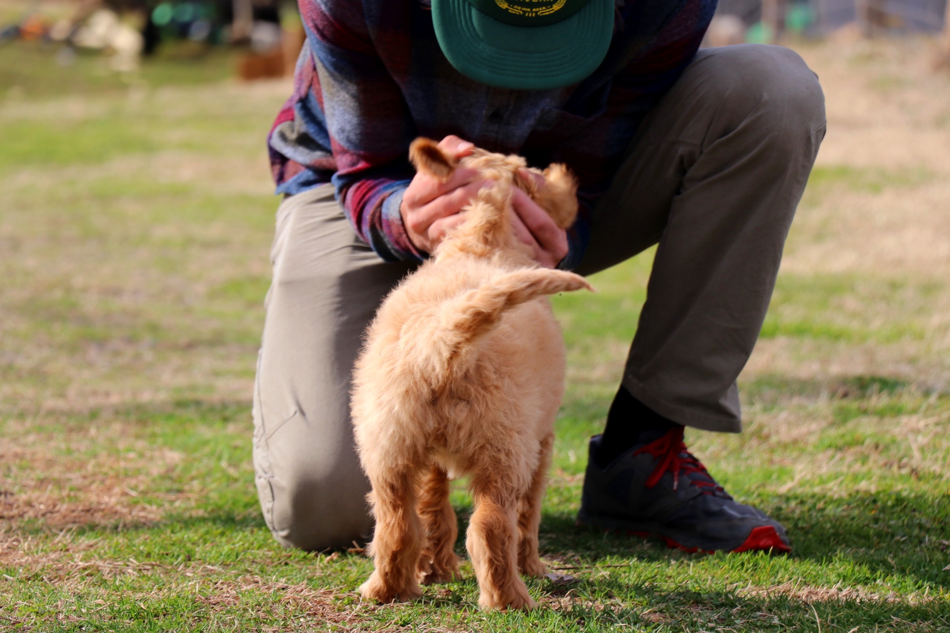 Man in fall style clothing kneeling down to pet a small golden coat puppy